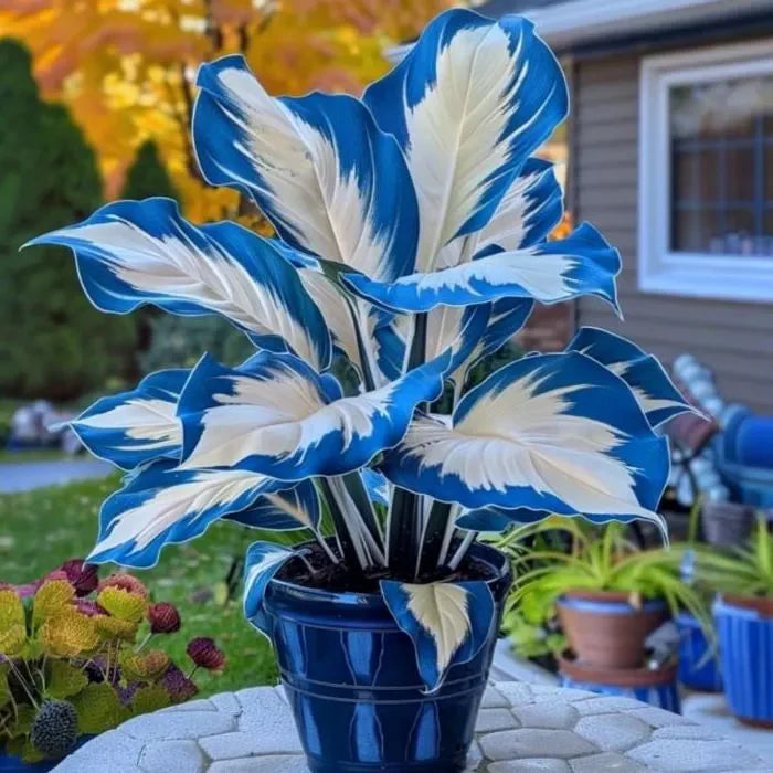 💚 ✨Premium Hosta Bulbs🔥Low-Maintenance, Shade-Loving & Comes Back Every Year