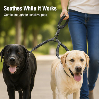 Dual-Dog Shock Absorbing Bungee Leash