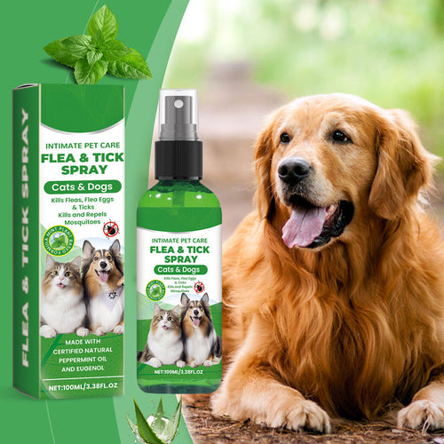 Vcoxno™ — Instantly Soothe Itchy Skin and Keep Pesky Pests Far Away