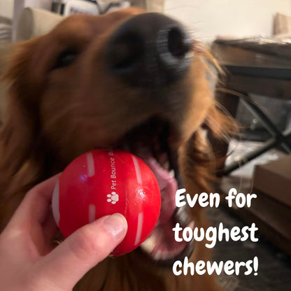 LASY DAY SALE 50% OFF - Pet Bounce Ball