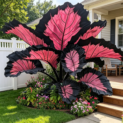 🌈 Giant Caladium Bulbs 🎊The color wizard that creates a dream garden 🌿✨