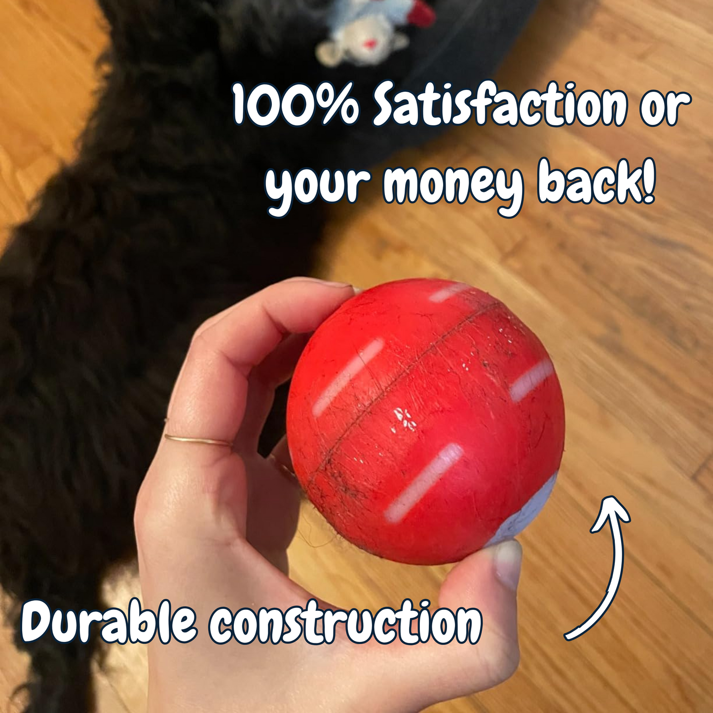 LASY DAY SALE 50% OFF - Pet Bounce Ball