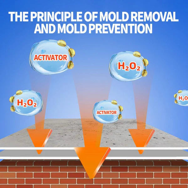 ✨Lanwexy Mould Removal Spray - Eliminates Stubborn Mould in Minutes, Prevents Regrowth on Tiles & Surfaces 🚿🧼